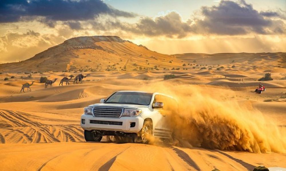 Evening Desert Safari